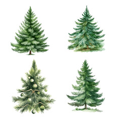 Christmas green tree with decor and gift boxes for decoration greeting card watercolor paint on white background