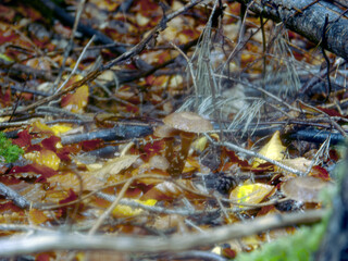 Herbst 2023