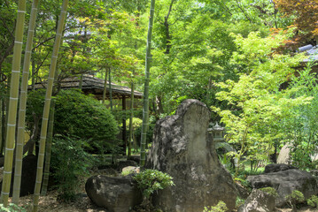 夏の和風庭園