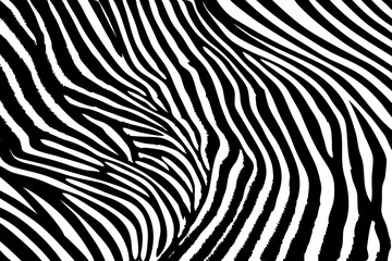 Zebra skin pattern. Black and white backdrop