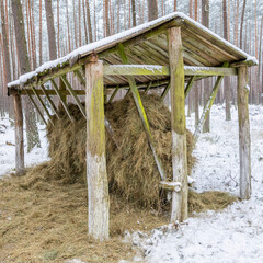 wild animal feeder in the forest, eastern europe, poland, winter 