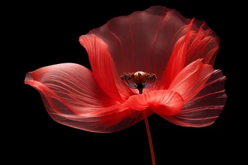  Stylized red poppy flower on black background. Remembrance Day, Armistice Day, Anzac day symbol © vejaa