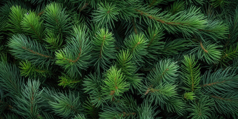 Naklejka na ściany i meble Image Of Coniferous Branches And Needles For Wallpaper And Background Created Using Artificial Intelligence