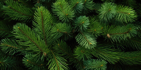 Image Of Coniferous Branches And Needles For Wallpaper And Background Created Using Artificial Intelligence