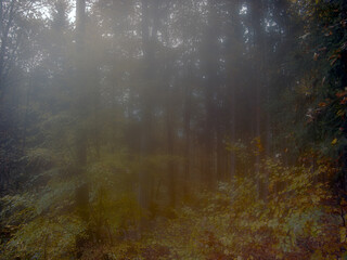 Fototapeta premium Herbst 2023