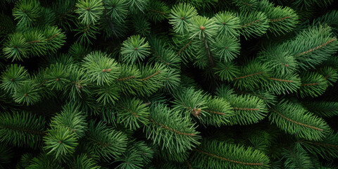 Image Of Coniferous Branches And Needles For Wallpaper And Background Created Using Artificial Intelligence