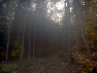 Fototapeta premium Herbst 2023