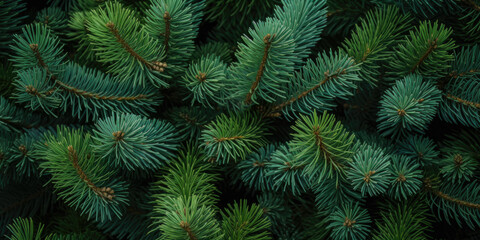 Image Of Coniferous Branches And Needles For Wallpaper And Background Created Using Artificial Intelligence