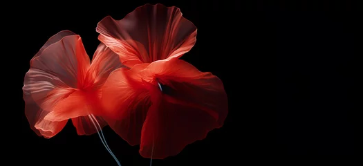 Gardinen Stylized red poppies flowers on black background. Remembrance Day, Armistice Day, Anzac day symbol © vejaa
