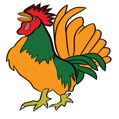 rooster isolated on white,Bekisar chicken,big male chicken,
A male giant cock crows,male giant chickens have short legs