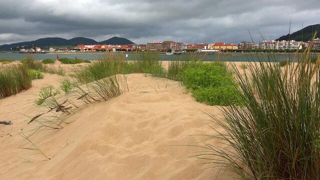 
Santoña desde el puntal de Laredo con dunas en la arena de la playa y vegetación. Cantabria, España