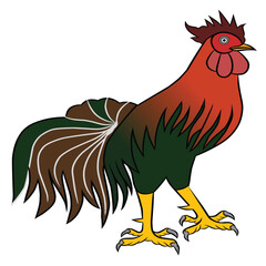 rooster isolated on white background,a rooster with a long tail,tall rooster,the rooster crowed,
fighting cock