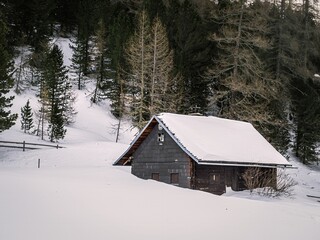 Snow covered wooden shack in a winter forest