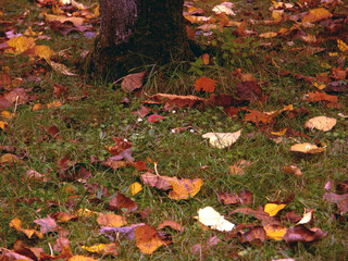 Herbst 2023
