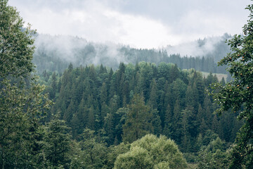 The Carpathian region of Ukraine near the village of Yaremche