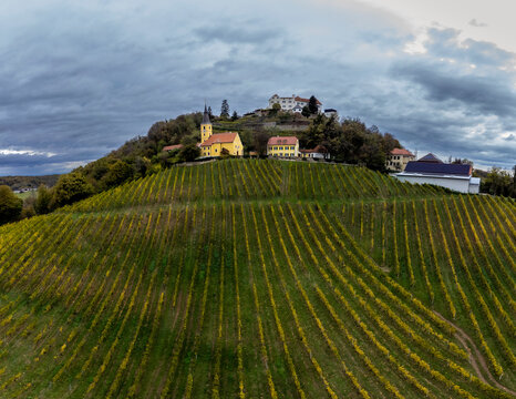 Viticulture in the Southeast of Styria, Kapfenstein Castle, Austria