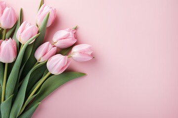 Vibrant Pink Tulips on Funky Background