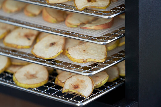 Fragment of a dehydrator with fruit slicing on metal shelves. Close-up.