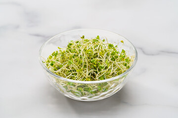 ブロッコリースプラウト