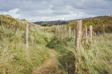 Omaha Beach, romantic path in the dunes
