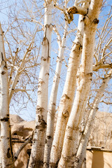 sunshine in my hometown