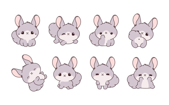 Set of Kawaii Isolated Chinchilla. Collection of Vector Cartoon Rodent Illustrations for Stickers, Baby Shower, Coloring Pages, Prints for Clothes