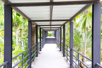 Concrete walkway structure under steel roof covered with tiles. In park is long, sturdy sky walkway with sunlight shining in from sides. Looking from distance, there is iron staircase in front.