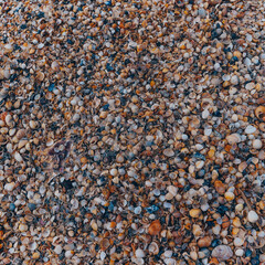 Muschelstrand