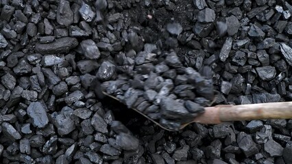 Worker takes black coal from a pile with a shovel. Energy industry. Solid fuel. Stove fireman at work.