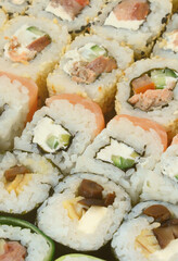 Close-up of a lot of sushi rolls with different fillings lie on a wooden surface. Macro shot of cooked classic Japanese food with a copy space.