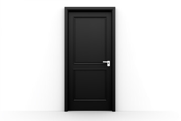 Contrasting Spaces Black Door in White Room