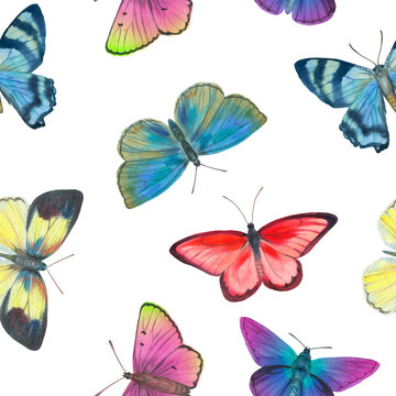 seamless botanical pattern, watercolor butterflies on a white background