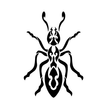 vector illustration graphic tribal art design ant image for tattoo symbol