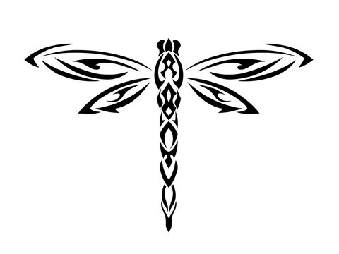 vector illustration graphic tribal art design dragonfly for tattoo symbol