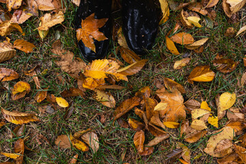 Feet in rubber boots on wet soil with autumn leaves