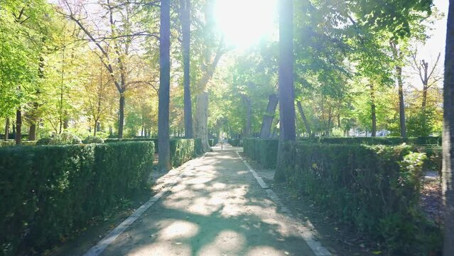 Paths of the great gardens of Aranjuez with lush vegetation and water fountains, Madrid.