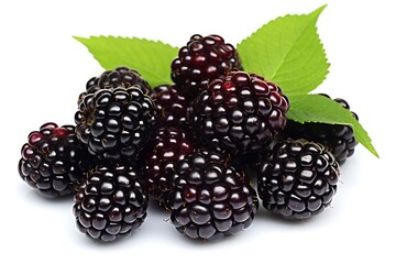 Generative AI : Blackberries in a pile isolated on white background