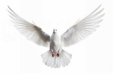 Obraz premium Generative AI : Flying pigeon isolated on white background