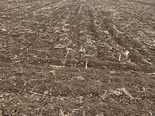 Close-up of a plowed field after corn harvesting in autumn in Germany without a horizon. Background, texture. Horizontal photo