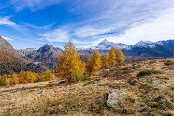 Alpe Palù in autunno, Valmalenco 