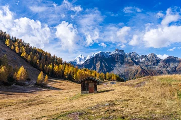 Deurstickers Alpe Palù in autunno, Valmalenco  © Stefano Gandini