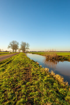 Polder landscape with a ditch covered with a thin layer of ice. The photo was taken on a windless morning in the Dutch Alblasserwaard region in the province of South Holland. Winter is coming now.