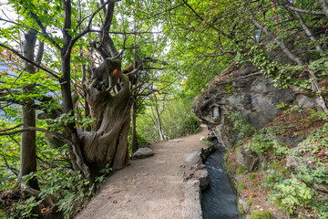 Algunder Waalweg - Meran - Südtirol - Italien