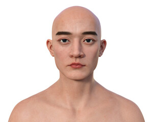 A photorealistic portrait of an Asian man, 3D illustration