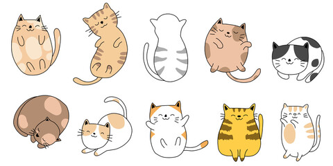 Cute cats created in colorful illustration style.