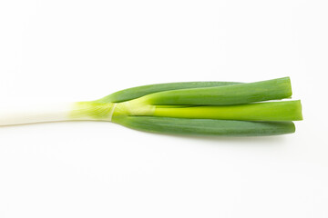 白背景に長ネギ