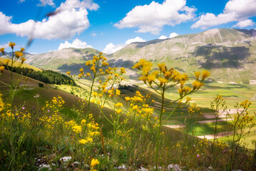 Agricultural valley in mountain with cloudy sky