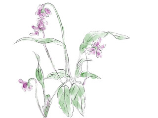 すみれの水彩イラスト