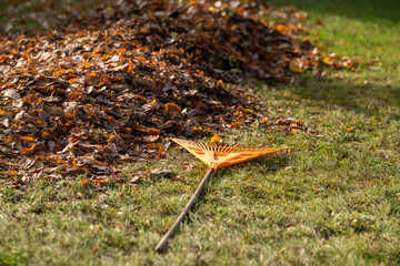 rake on the ground