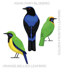 Cute Bird Leafbird Fairy-Bluebird Set Cartoon Vector